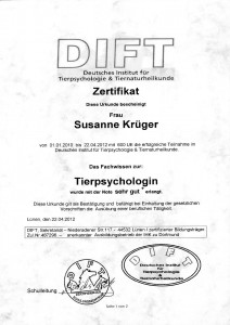 DIFT-Abschluss-Zertifikat_S:W