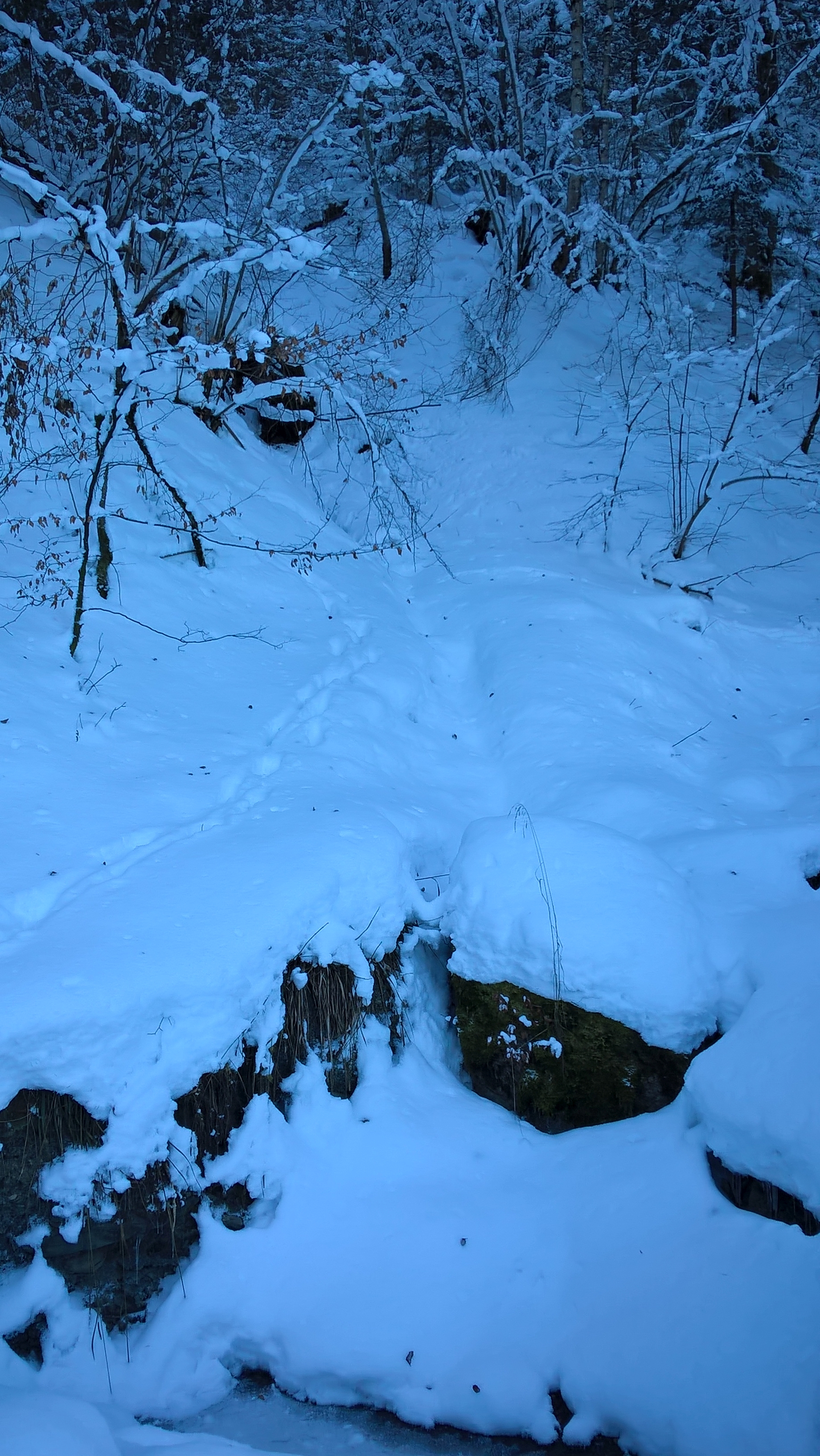 Winter in Maine-2