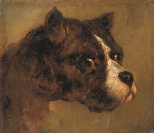 © Théodore Géricault, S. 49 Tête de Bouledogue, 19. Jahrhundert.