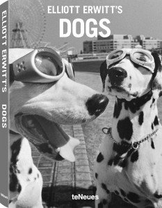© Elliott Erwitt's Dogs SMALL FORMAT EDITION, erschienen bei teNeues, € 9,99, www.teneues.com